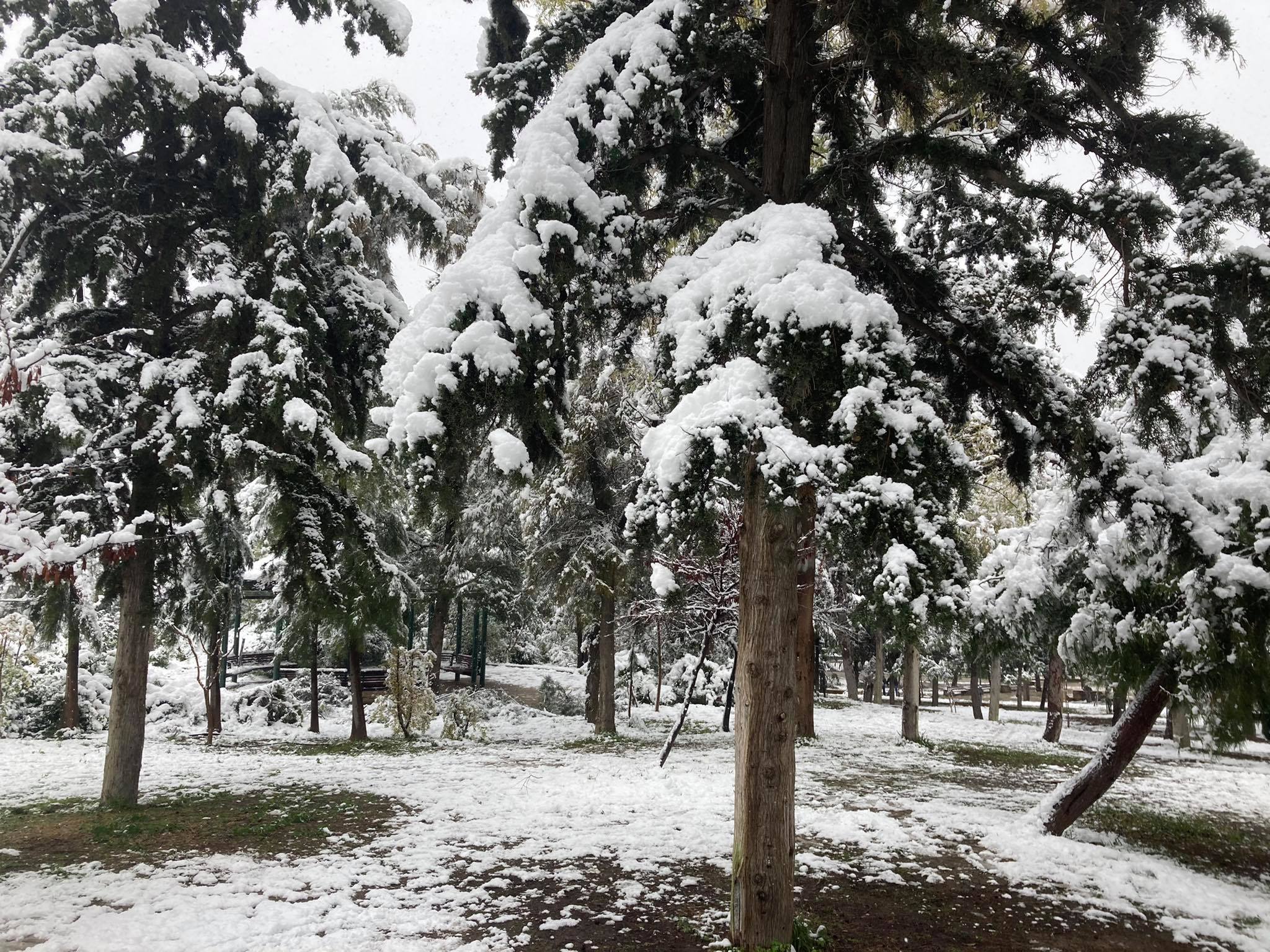 Υπουργείο Περιβάλλοντος: Απαγόρευση θήρας λόγω χιονοπτώσεων με εντολή του Υφυπουργού Περιβάλλοντος και Ενέργειας, Γιώργου Αμυρά